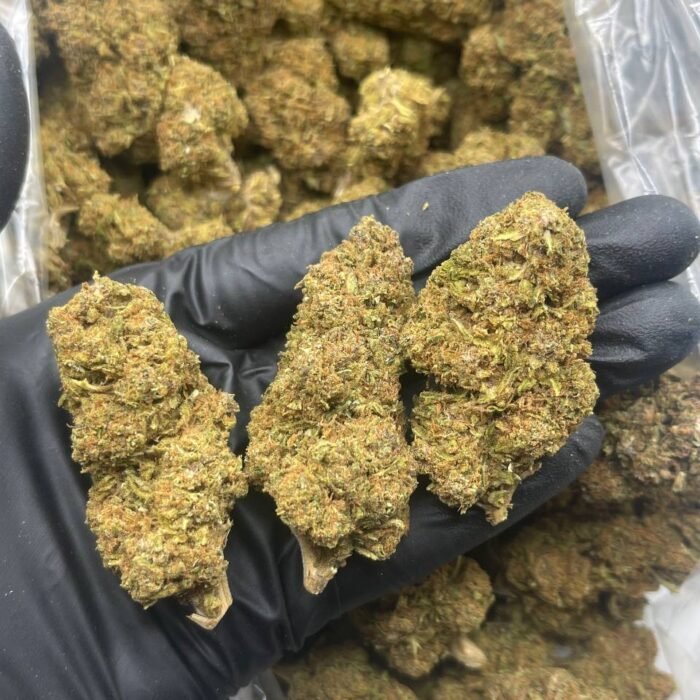 CANDY KRUSH STRAIN