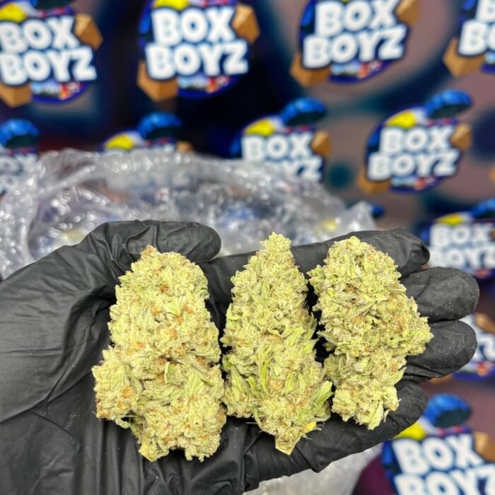 White Fuego strain