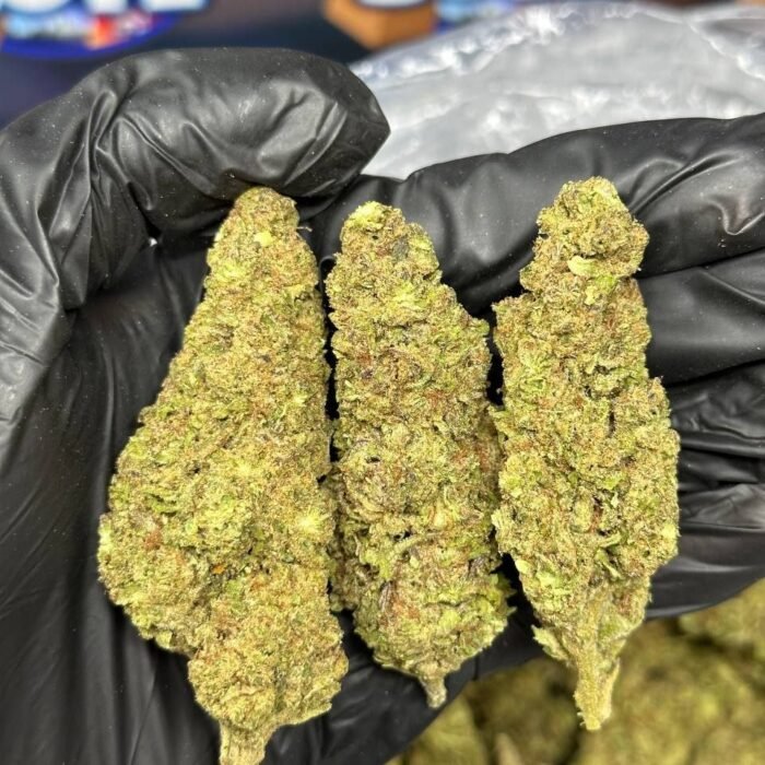 Blue Guava Runtz strain