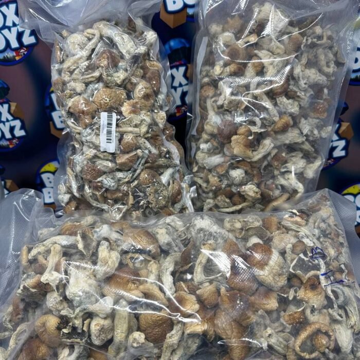 Raw Shrooms