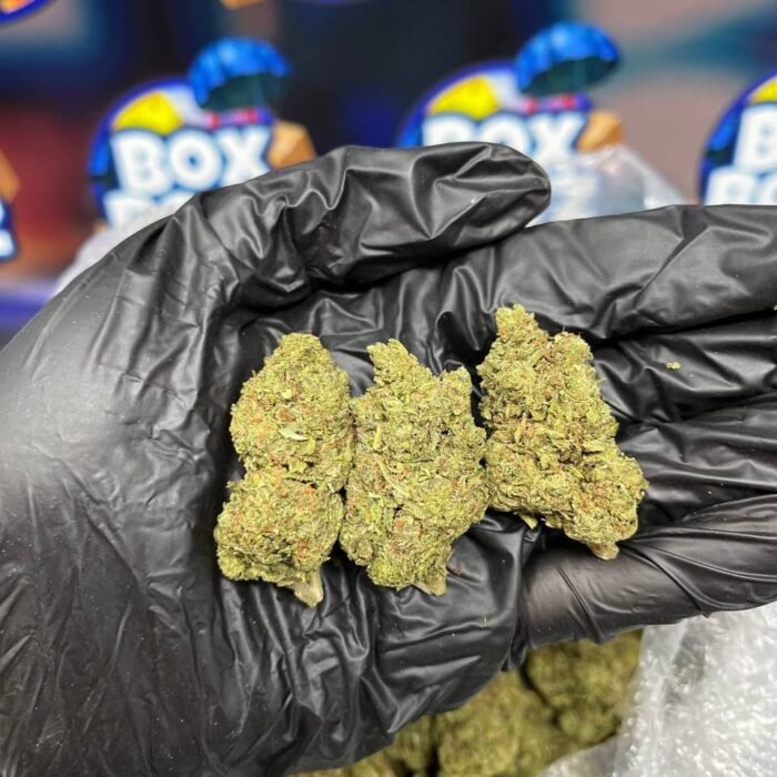 Animal mints strain