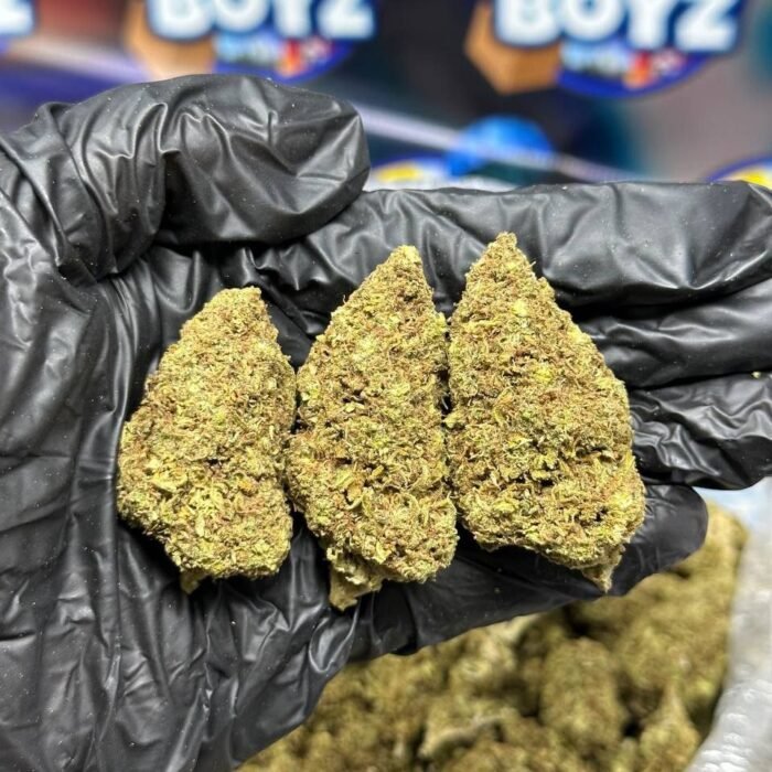 Cap Junkie strain