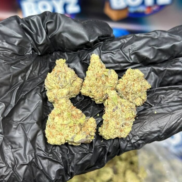 Rainbow Gelato strain