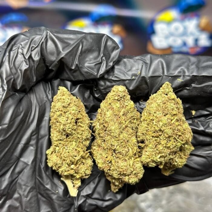 AK47 strain