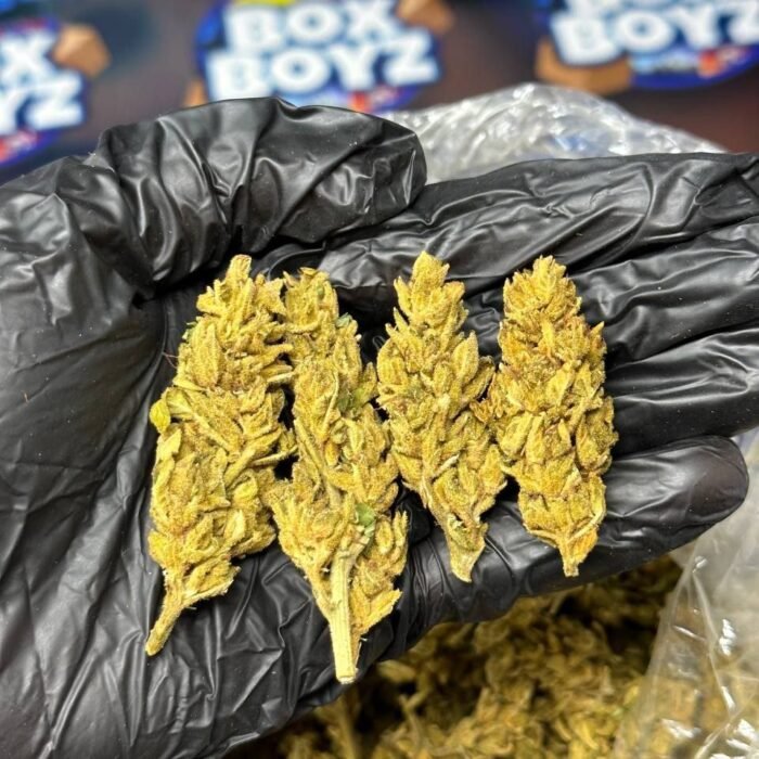 Strawberry Melon strain
