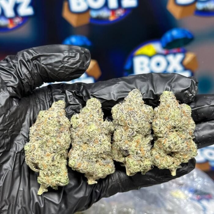 Watermelon Gelato strain
