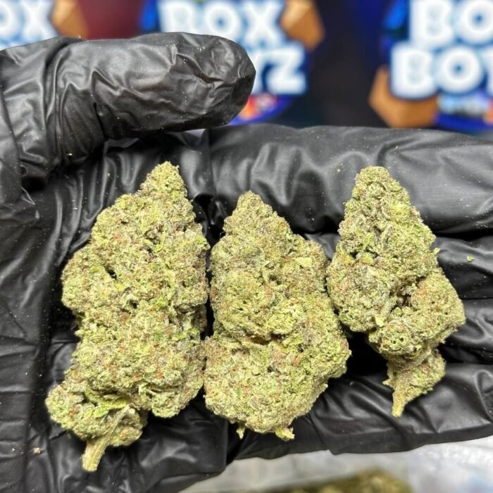 White Bacio strain