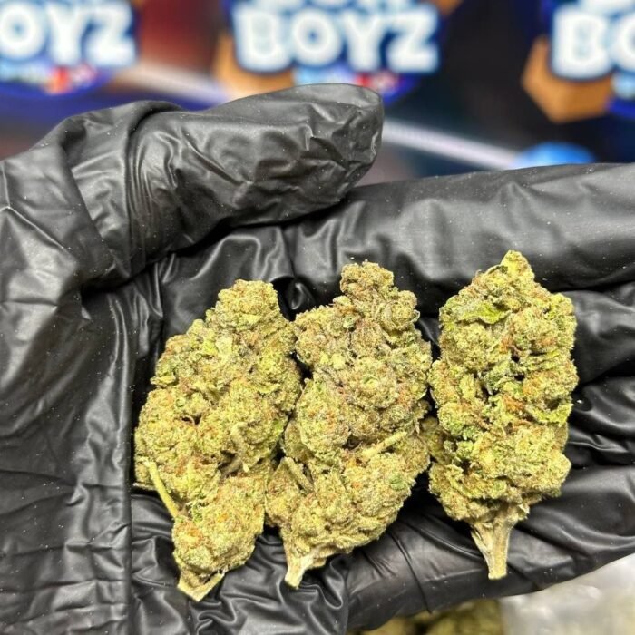 Strawberry Cough strain