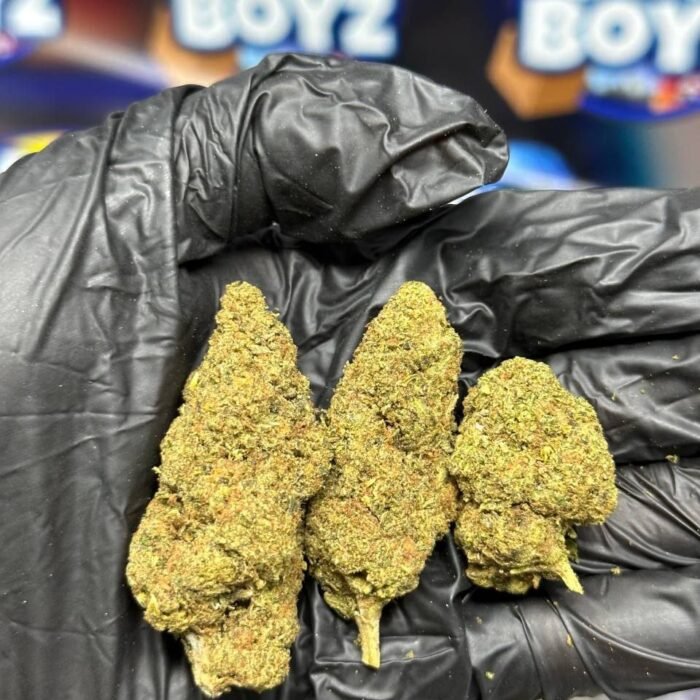 Purple Nerdz strain