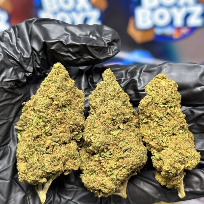 Dolce Gelato strain