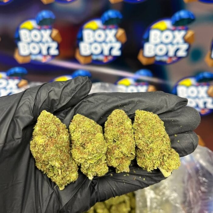 GG4 strain