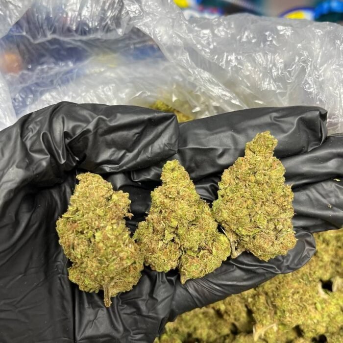 Gellati quava strain