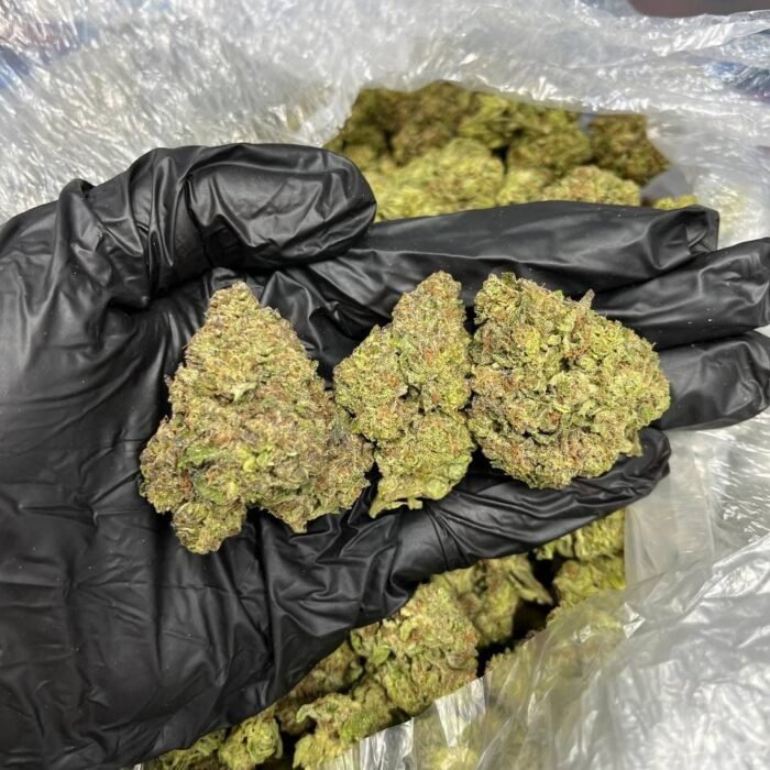 White truffle strain