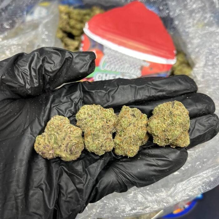 Cherry zlurpee strain