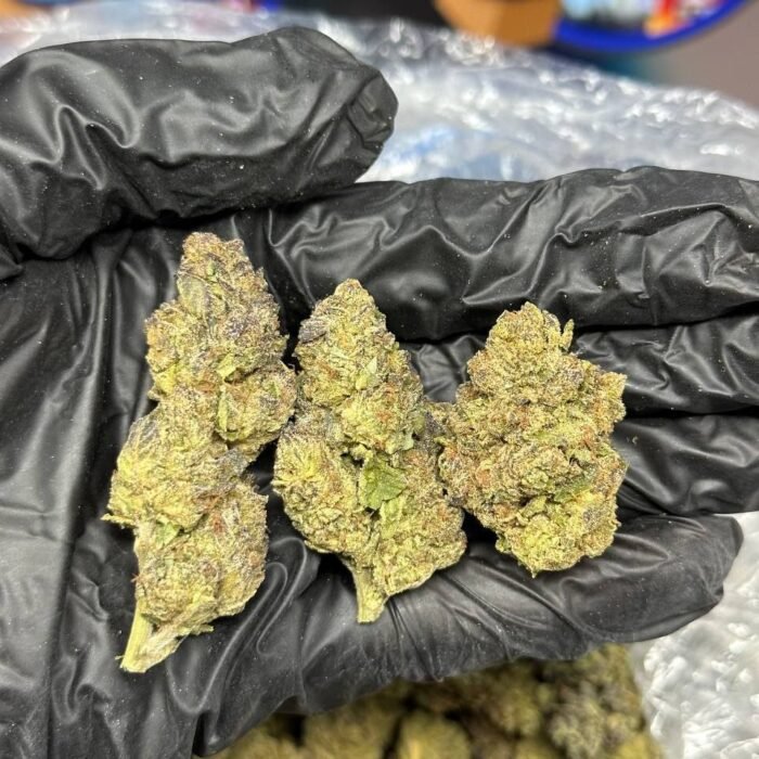 Jelly Donuts strain