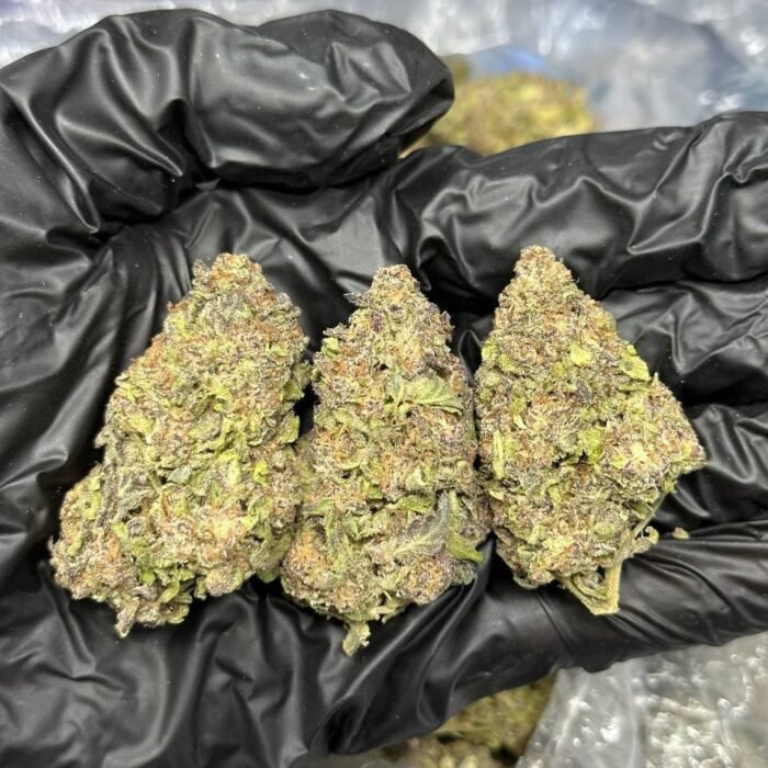 Oreo Gushers strain