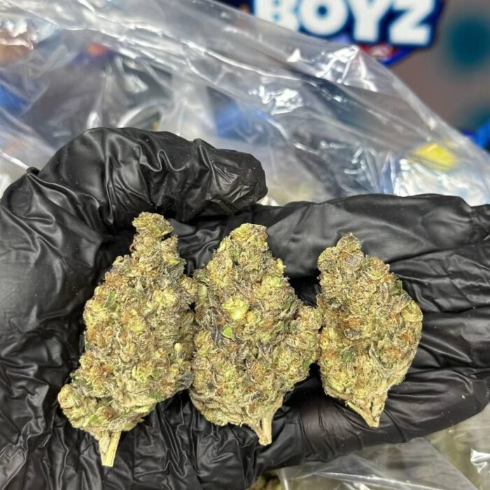 Mac Mintz strain