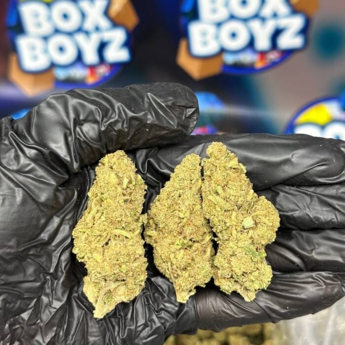 Blackberry Ice strain