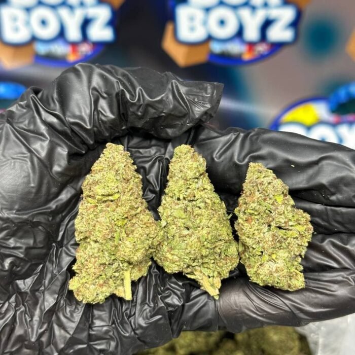 Mochi berries strain