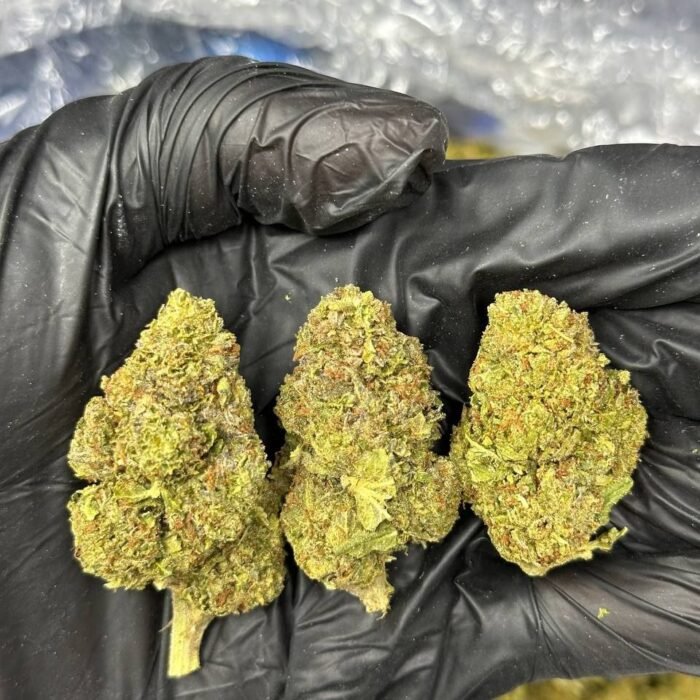 Frozen berries strain