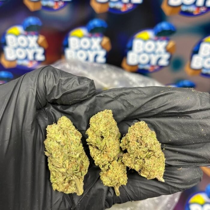 Lemon Haze strain