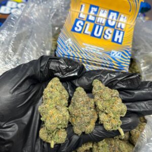 LEMON SLUSH STRAIN