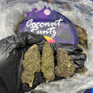 COCONUT RUNTZ strain